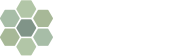 Turtle Box Market