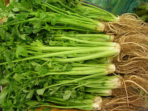 Organic Celery
