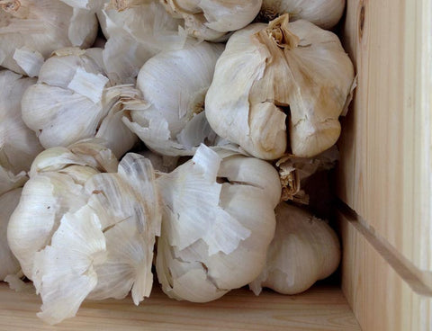 Organic Garlic