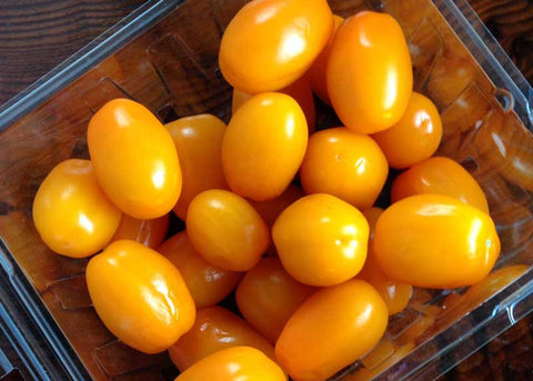Florida Organic Grape Tomato
