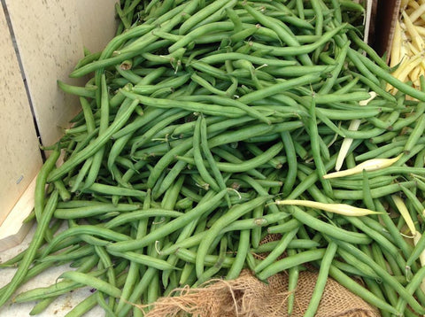 Florida Organic Green Beans