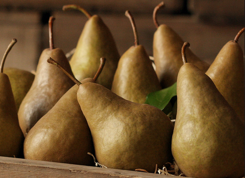 Organic Bosc Pear