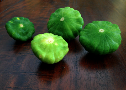 Florida Organic Sunburst Squash