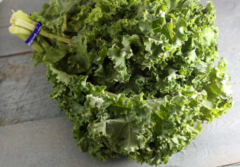 Florida Organic Green Kale