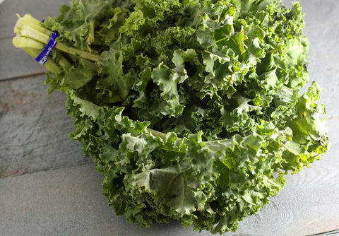 Florida Organic Green Kale
