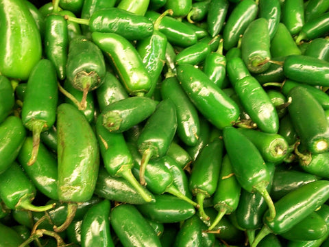Florida Organic Jalapeno Pepper