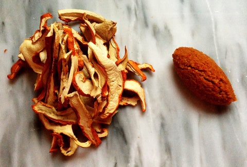 Organic Dried WIld Lobster Mushrooms