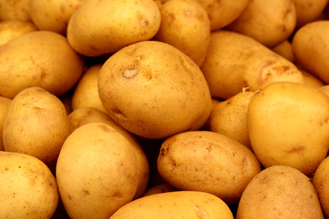 Organic Yukon Gold Potato
