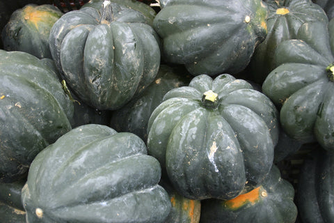 Organic Acorn Squash