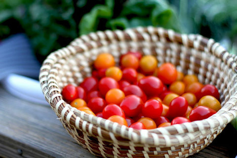 Florida Organic Red Cherry Tomato